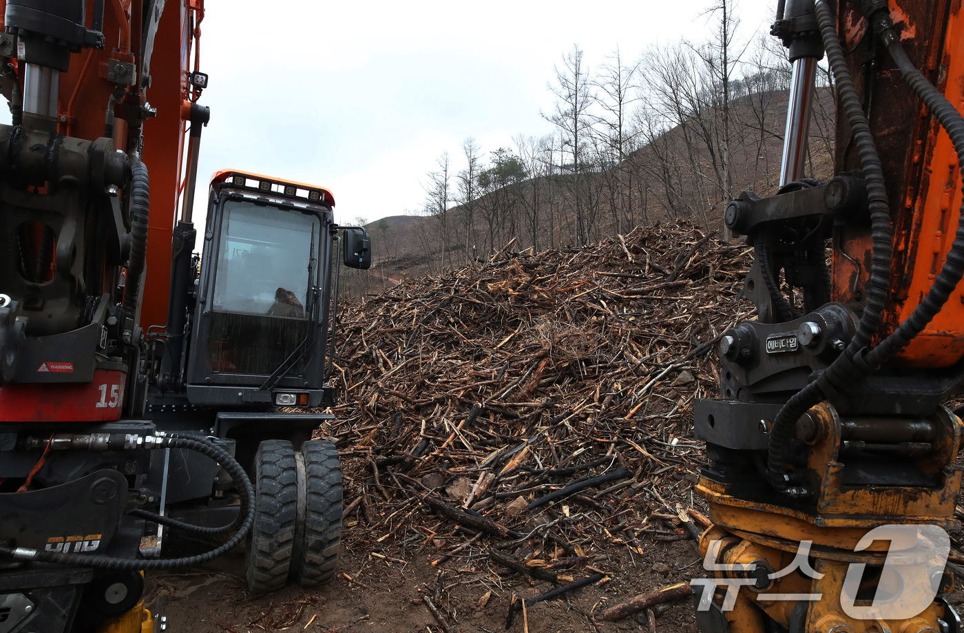 (안동=뉴스1) 공정식 기자 = 18일 경북 안동시 일직면의 한 야산에서 산립조합 벌목작업반이 지난해 산불로 고사한 나무를 제거하고 있다. 2026.3.18/뉴스1
