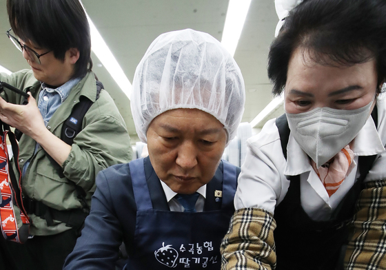 정청래 '딸기 선별합니다'