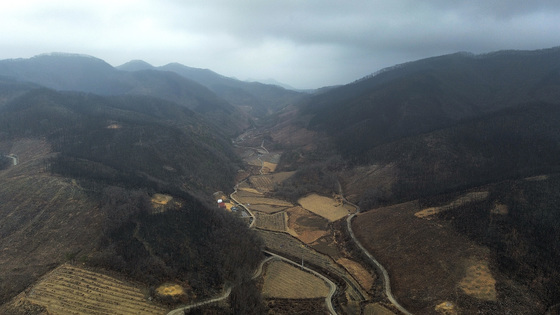 경북 의성 산불 피해지, '산림경영특구' 지정