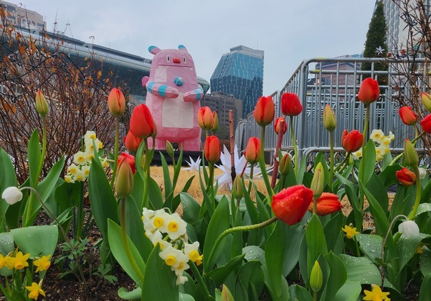 "서울광장·청계천서 봄꽃길과 '해치라이트가든' 걸어보세요"