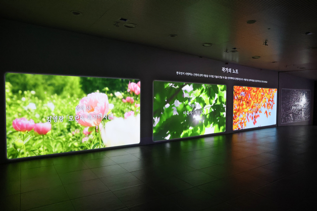 "詩가 있는 사계절"…국립중도, 韓 근대시 미디어아트 '작가의 노트'전