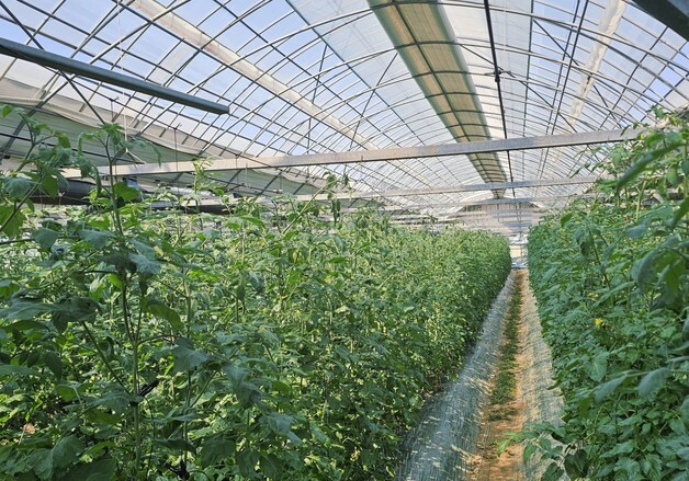 옥천군 '시설원예 에너지 절감 현장기술지원단' 운영