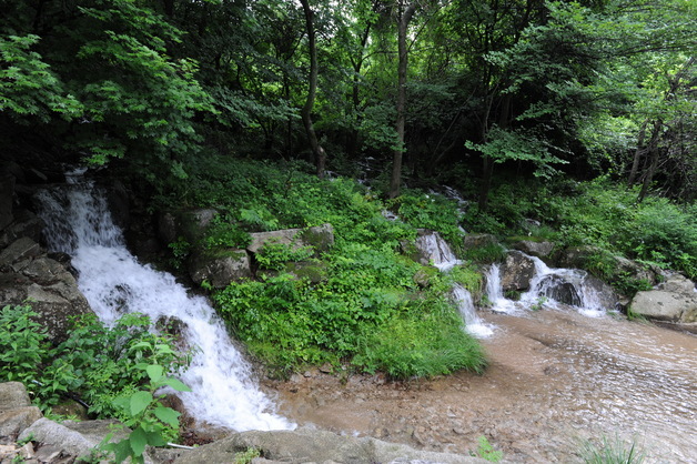 화천군, 31일까지 산간 계곡 불법 시설 집중 단속