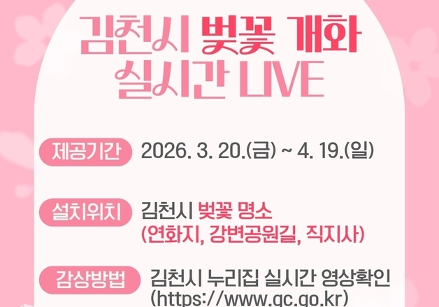 김천시, 연화지·직지사·강변공원 벚꽃 "라이브 영상으로 보세요"