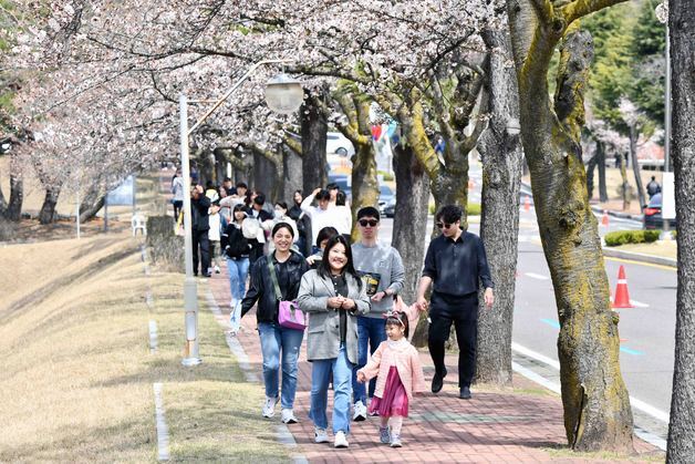 진주 공군교육사령부, '벚꽃 여행길 행사' 부대 개방