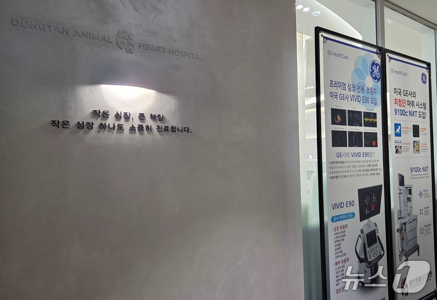 본문 이미지 - 동탄동물심장병원 내부 ⓒ 뉴스1