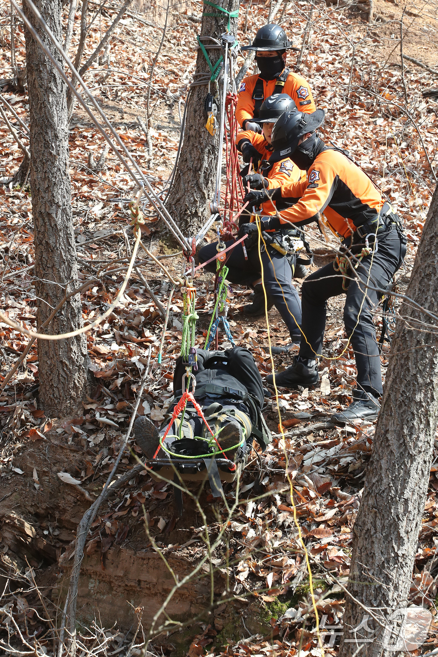 (대구=뉴스1) 공정식 기자 = 춘분(春分)을 하루 앞둔 19일 오전 대구강서소방서 119구조대원들이 달서구 와룡산에서 열린 '봄철 산악사고 대비 특별구조훈련'에서 추락한 부상자를 …