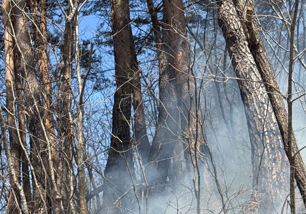 태백 장죽동 산불 21분 만에 진화