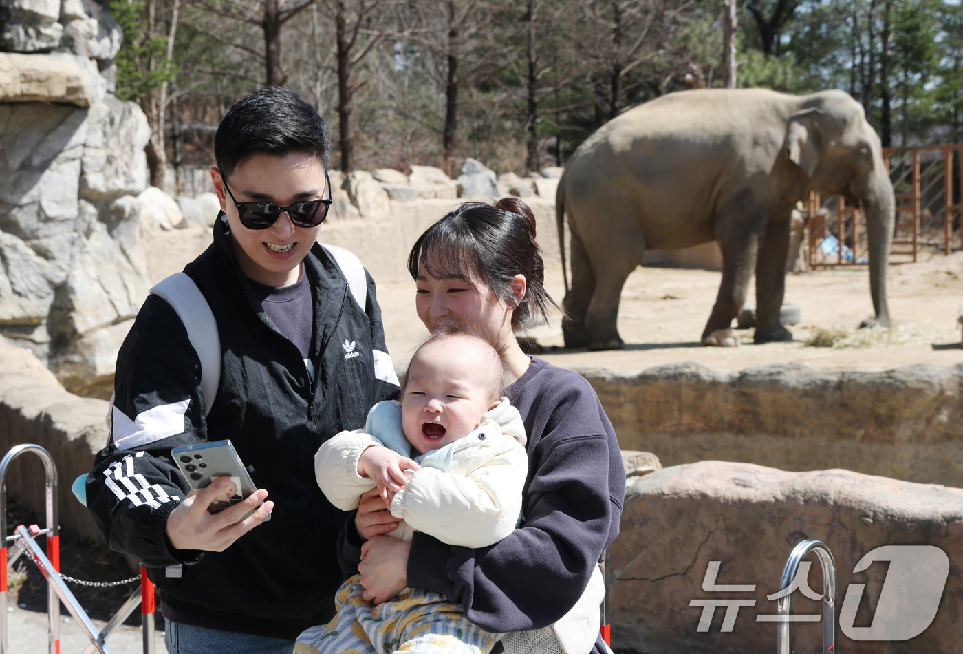 (용인=뉴스1) 김영운 기자 = 절기상 춘분을 하루 앞둔 19일 경기 용인시 처인구 에버랜드 '로스트밸리 워킹 사파리'에서 시민들이 코끼리를 관람하고 있다.생태형 사파리 ‘로스트밸 …