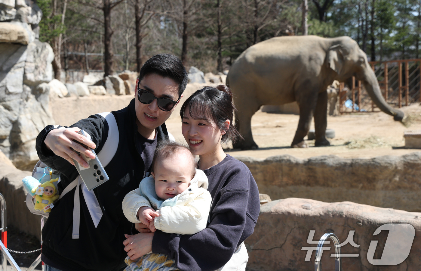 (용인=뉴스1) 김영운 기자 = 절기상 춘분을 하루 앞둔 19일 경기 용인시 처인구 에버랜드 '로스트밸리 워킹 사파리'에서 시민들이 코끼리를 관람하고 있다.생태형 사파리 ‘로스트밸 …