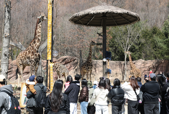 걸어서 동물들과 만나는 '워킹 사파리'