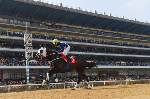 '클린원'·서승운 기수 헤럴드경제배 우승…장거리 최강자 입증