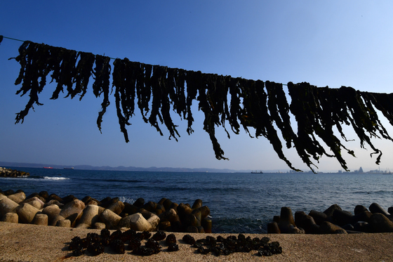 [오늘의 날씨]대구·경북(20일,금)…아침에 쌀쌀, 낮 최고 12~17도
