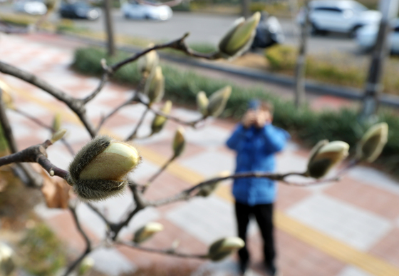 전국 화창한 '춘분', 아침엔 쌀쌀…일교차 최대 20도(종합)