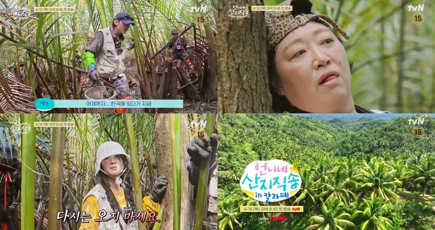 본문 이미지 - tvN