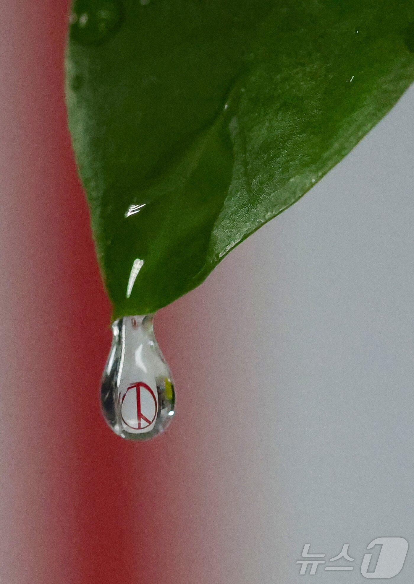 본문 이미지 - ‘세계 물의 날’을 앞둔 20일 물방울 속에 기표 모양이 담겨있다. 한 방울의 물처럼 소중한 한 표가 오는 6월 3일 지방선거에서 지역의 미래를 결정짓는다는 의미를 담았다. 2026.3.20 ⓒ 뉴스1 김기태 기자