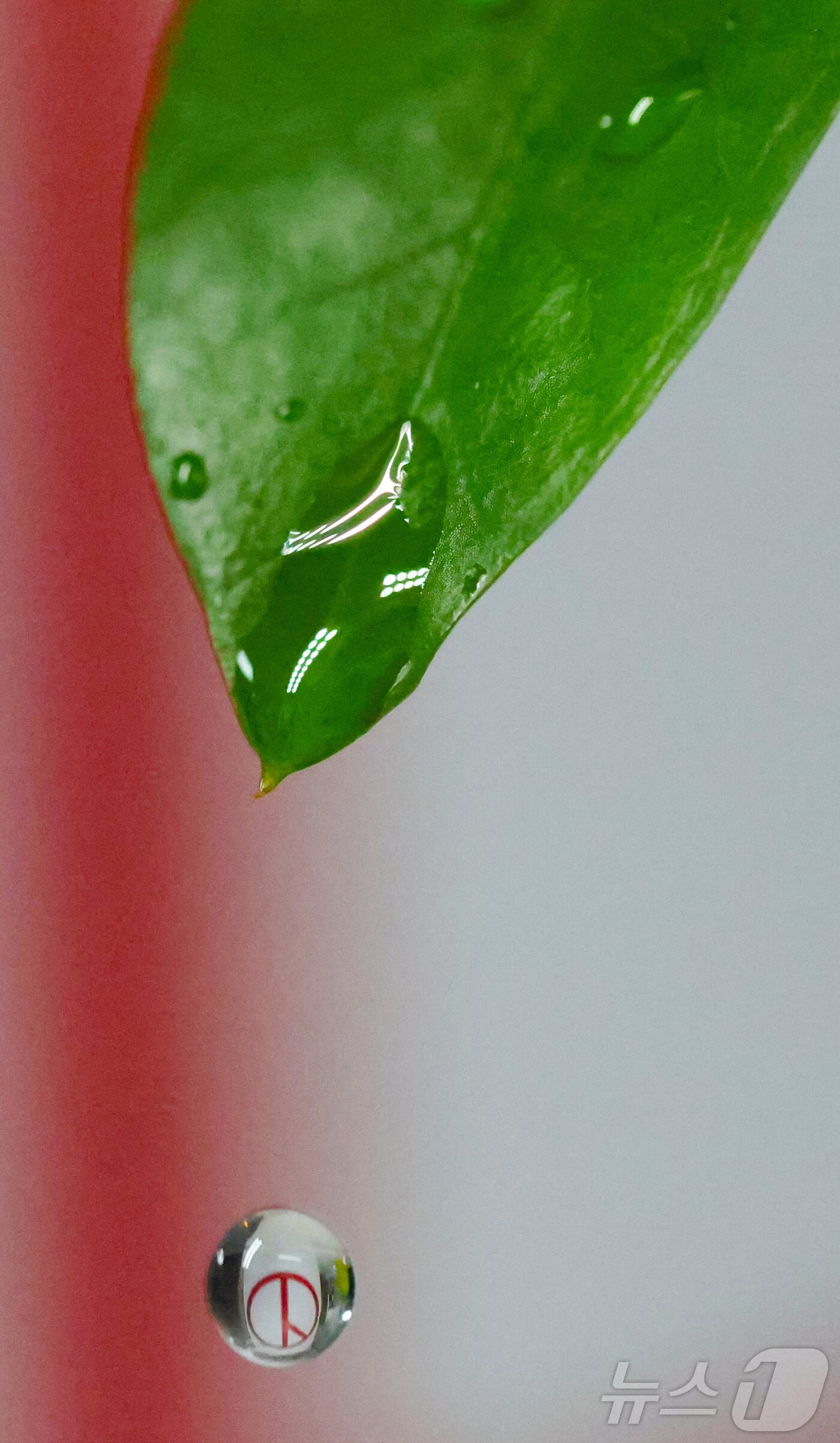 본문 이미지 - ‘세계 물의 날’을 앞둔 20일 물방울 속에 기표 모양이 담겨있다. 한 방울의 물처럼 소중한 한 표가 오는 6월 3일 지방선거에서 지역의 미래를 결정짓는다는 의미를 담았다. 2026.3.20 ⓒ 뉴스1 김기태 기자
