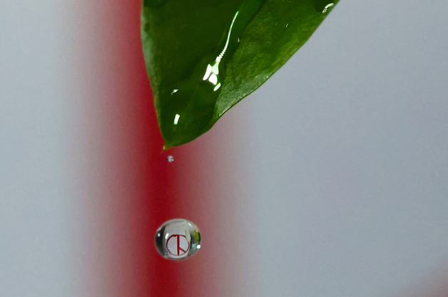 강원 동해안 현직 단체장 등판 '시동'…빨라지는 지선 시계