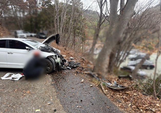 부산 장안사 등산로 달리던 승용차 나무 '쾅'…운전자 숨져