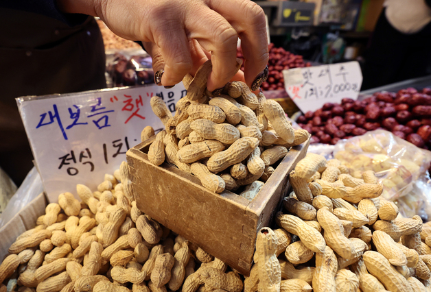 '부럼 준비하세요'