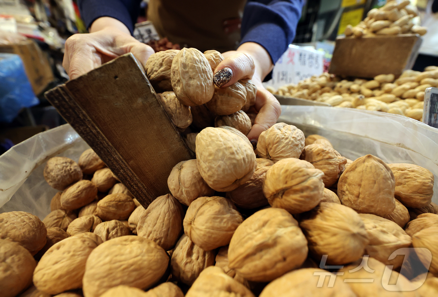 (서울=뉴스1) 김진환 기자 = 정월 대보름(음력 1월 15일)을 하루 앞둔 2일 오전 서울 동대문구 경동시장에서 한 상인이 호두 등 부럼을 준비하고 있다. 2025.3.2/뉴스1 …