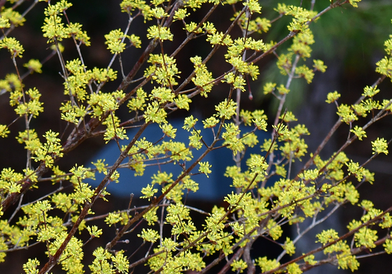 [오늘의 날씨] 전북(3일, 화)…흐리다 밤부터 맑아져