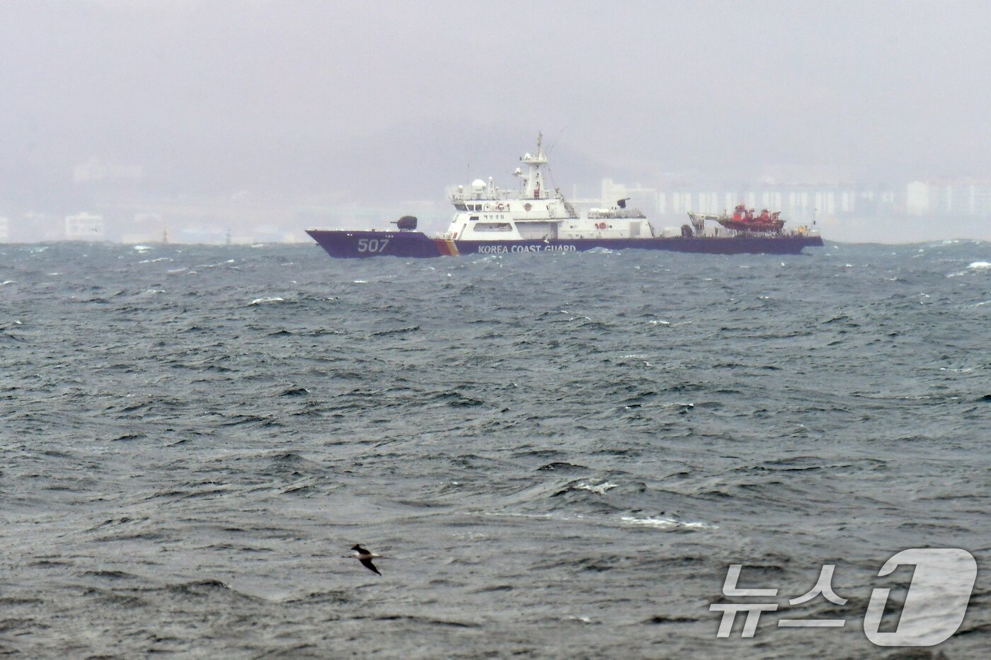 본문 이미지 - 2일 경북 포항해양경찰서 500톤급 함정이 연안 순찰을 활동을 하고 있다. 2026.3.2 ⓒ 뉴스1 최창호 기자