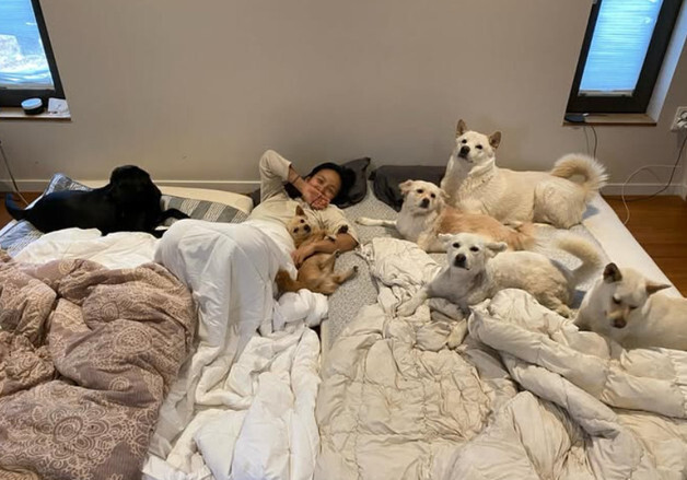 이효리, 반려동물과 편안한 일상 공개했는데…때아닌 갑론을박