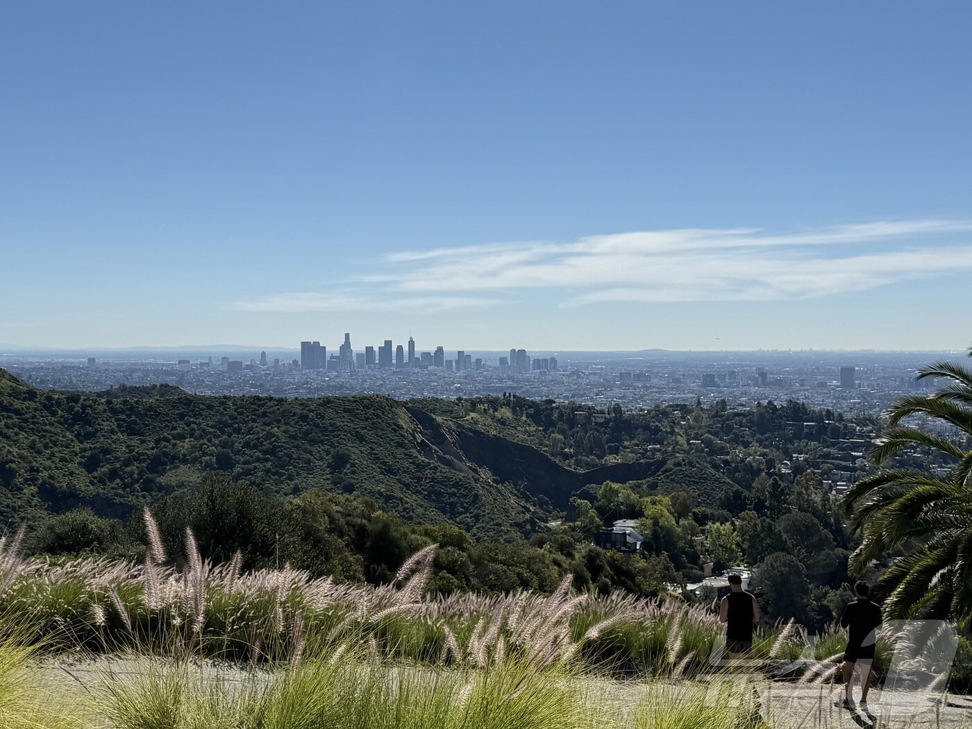 본문 이미지 - 할리우드 사인을 등지면 다운타운이 한눈에 보인다.ⓒ 뉴스1 윤슬빈 관광전문기자