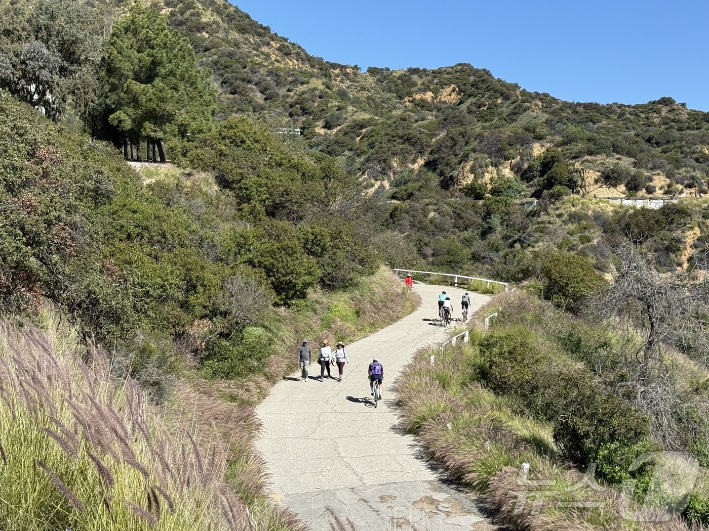 본문 이미지 - 산악자전거로 언덕을 오르는 사람들ⓒ 뉴스1 윤슬빈 관광전문기자