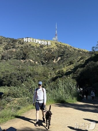본문 이미지 - LA는'개의 도시'라고 불릴 정도로 반려견을 키우는 반려인들이 많다. ⓒ 뉴스1 윤슬빈 관광전문기자