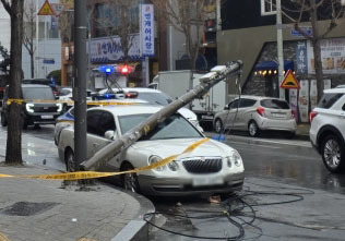화물차에 걸린 전선…통신주 3개 쓰러져 주차된 차 파손(종합)