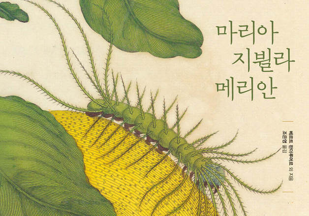 독일 최초의 생태학자 '마리아 지뷜라 메리안' 다시 읽기