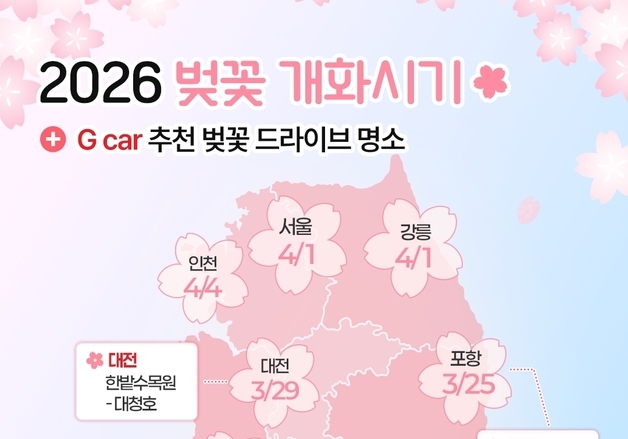 "벚꽃 드라이브 떠나볼까"…롯데렌터카 G car, 최대 60% 할인