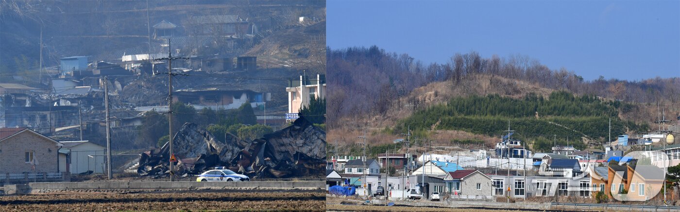 본문 이미지 - 2025년 3월25일 산불이 덮친 영덕군 영덕읍 매회리 모습(왼쪽)과 현재 모습. 2026.3.20/뉴스1 최창호 기자