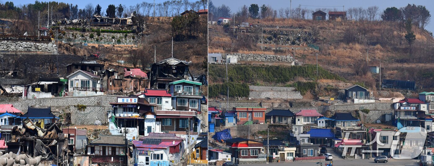 본문 이미지 - 2025년 3월25일 산불이 덮친 영덕군 영덕읍 노물리 마을 모습(왼쪽)과 현재 모습.2026.3.20/뉴스1 최창호 기자  