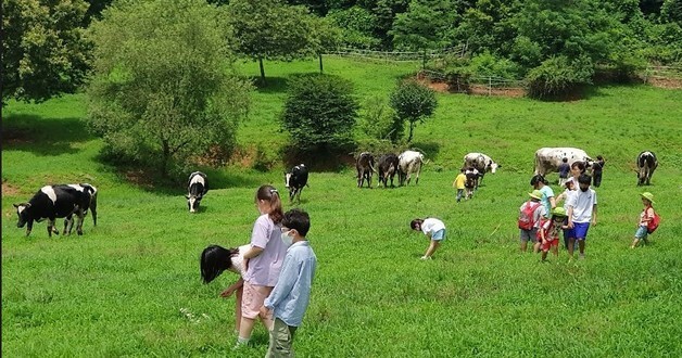 부여군, 농림부 '깨끗한 축산농장 사업' 성과…지정 농장 증가