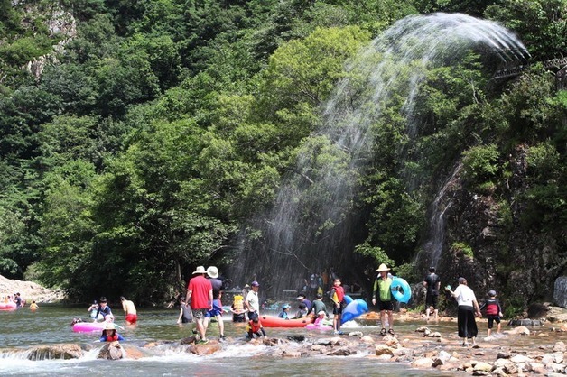 "하천·계곡 불법시설 엄정 대응"…보은군 31일까지 전수조사