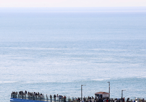 포근한 봄볕 쬐며 구경하는 바다