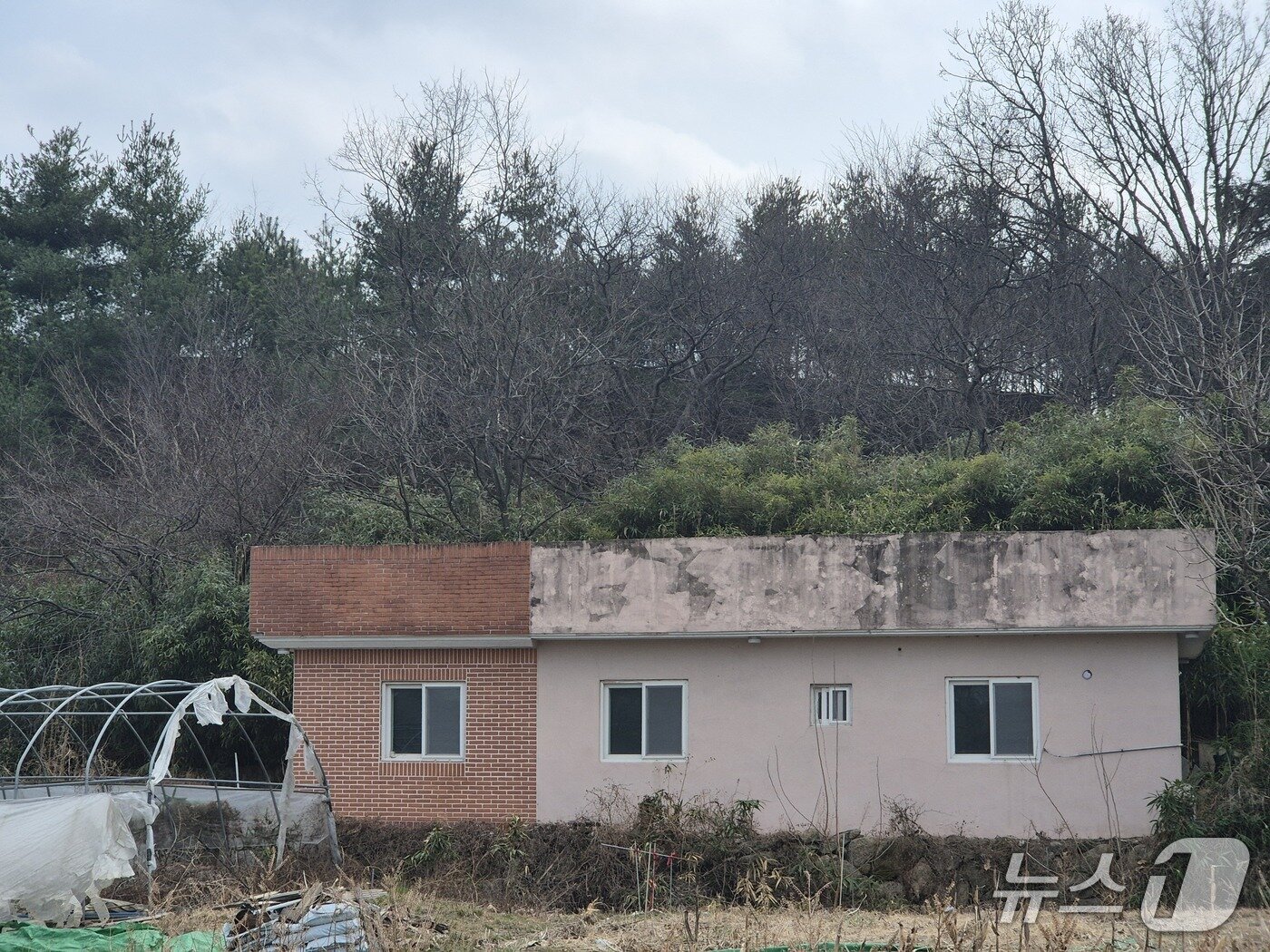 본문 이미지 - 지난 17일 울산 울주군 언양읍 귀지마을의 한 건물에 산불의 흔적이 남아있다.2026.3.20ⓒ 뉴스1 박정현 기자