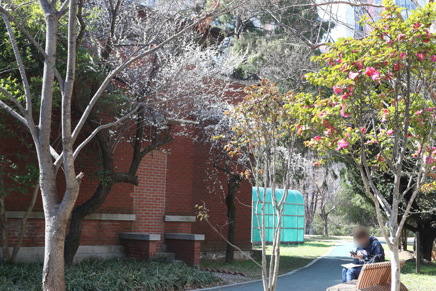 개화 직전인 광주 벚꽃 명소들…시민들 "벌써 봄내음"