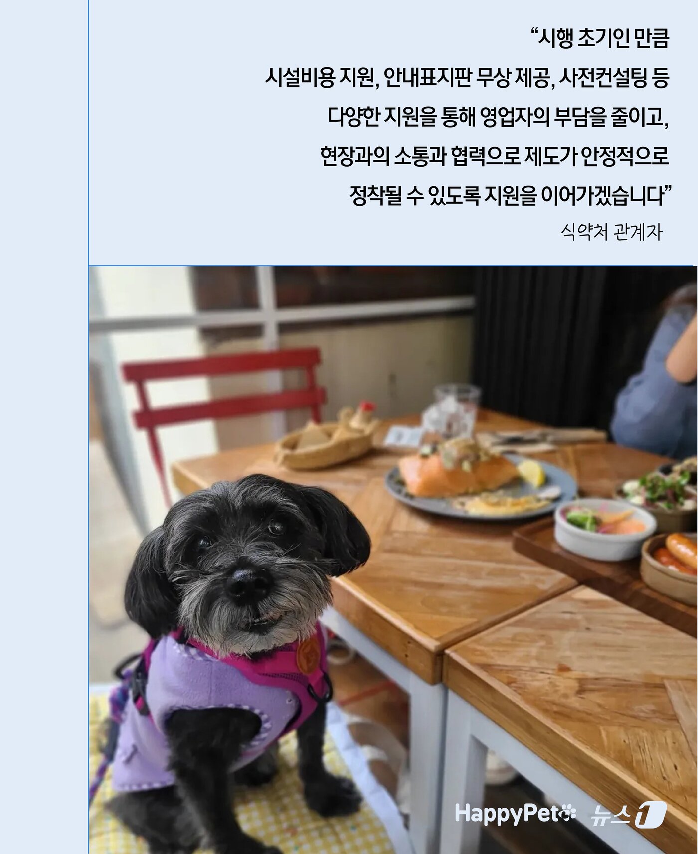 본문 이미지 - ⓒ 뉴스1 윤주희 디자이너