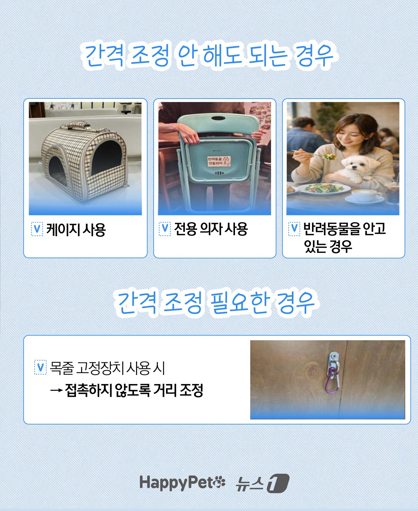 본문 이미지 - ⓒ 뉴스1 윤주희 디자이너