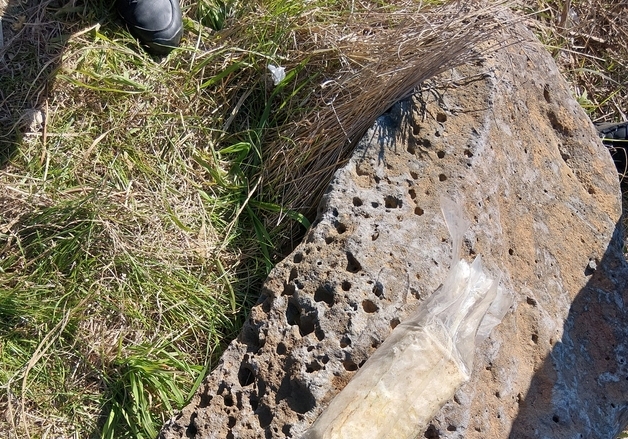 제주 해안서 '茶 봉지'위장한 마약 또 발견…20번째