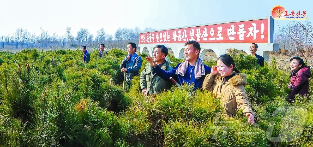 (평양 노동신문=뉴스1) = 북한 노동당 기관지 노동신문은 21일 국토환경보호성 중앙양묘장 일군들이 산림조성 확대를 목표로 묘목 생산에 힘쓰고 있다고 선전했다. [국내에서만 사용가 …