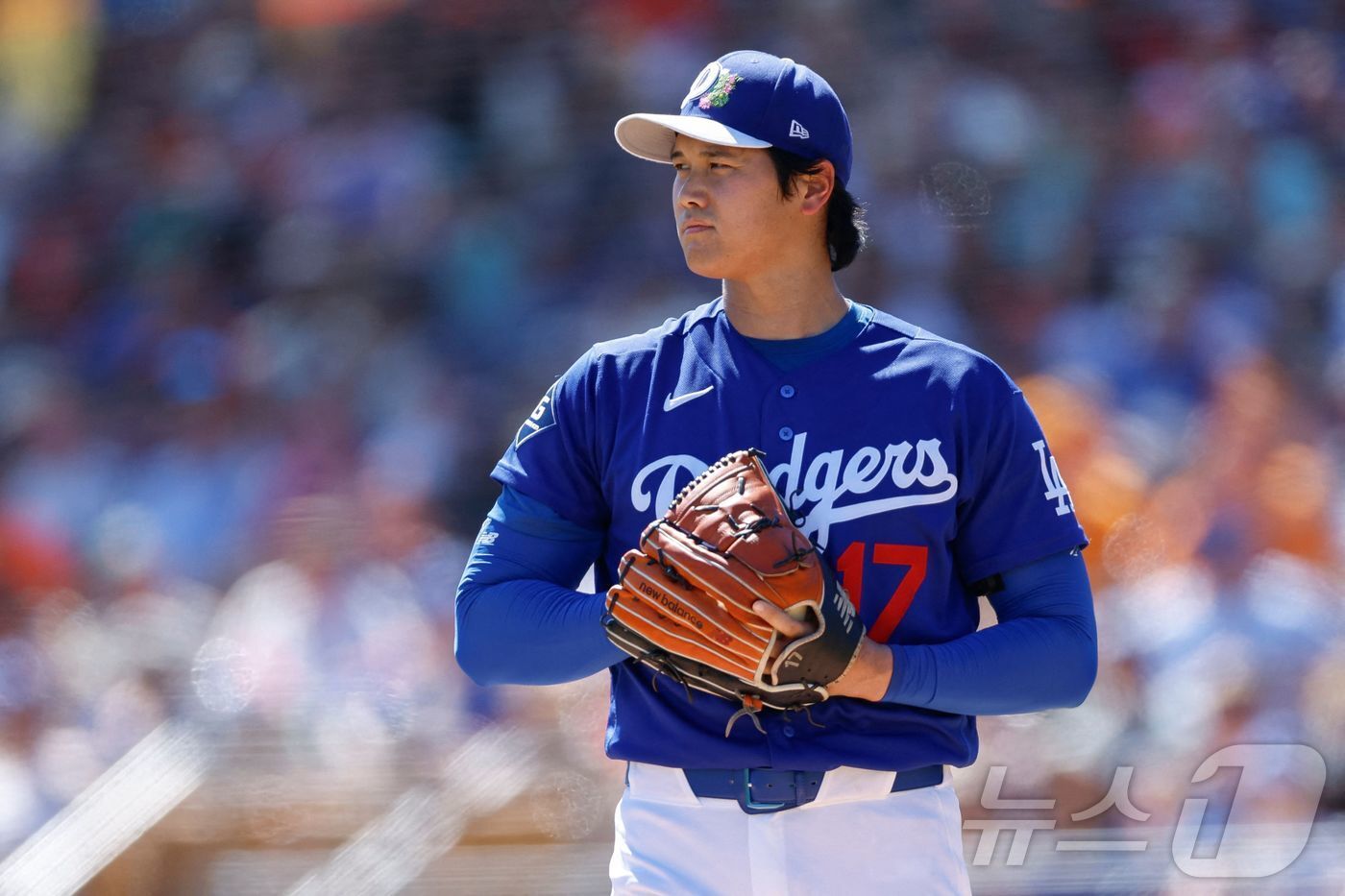 본문 이미지 - 오타니 쇼헤이(LA 다저스). ⓒ AFP=뉴스1