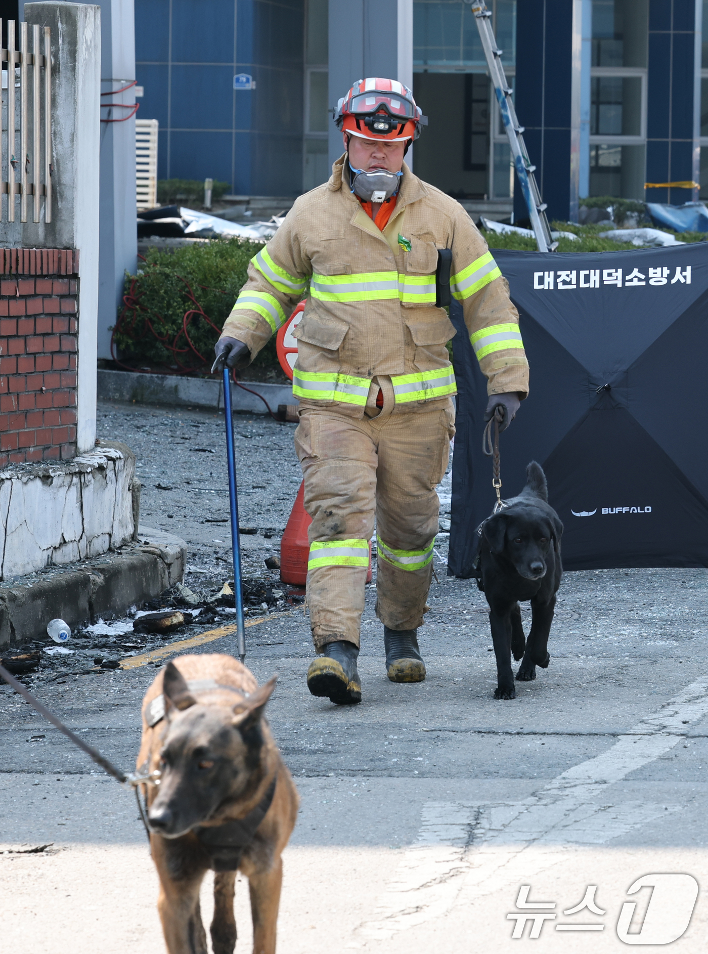 (대전=뉴스1) 김기태 기자 = 21일 대형 화재로 인명피해가 발생한 대전 대덕구 자동차 부품 제조 공장에 구조견이 투입 되고 있다. 2026.3.21/뉴스1