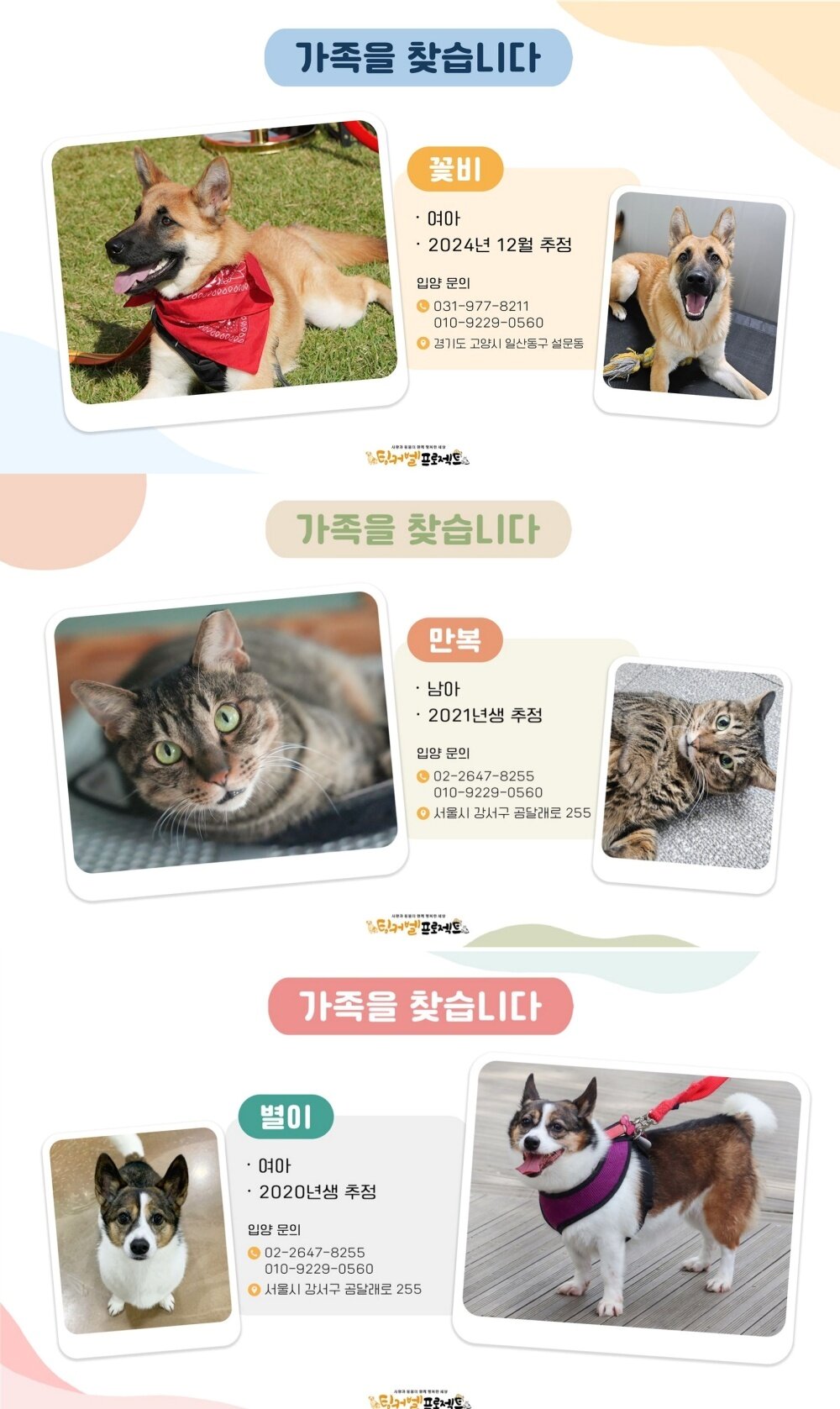 본문 이미지 - 입양 포스터 ⓒ 뉴스1