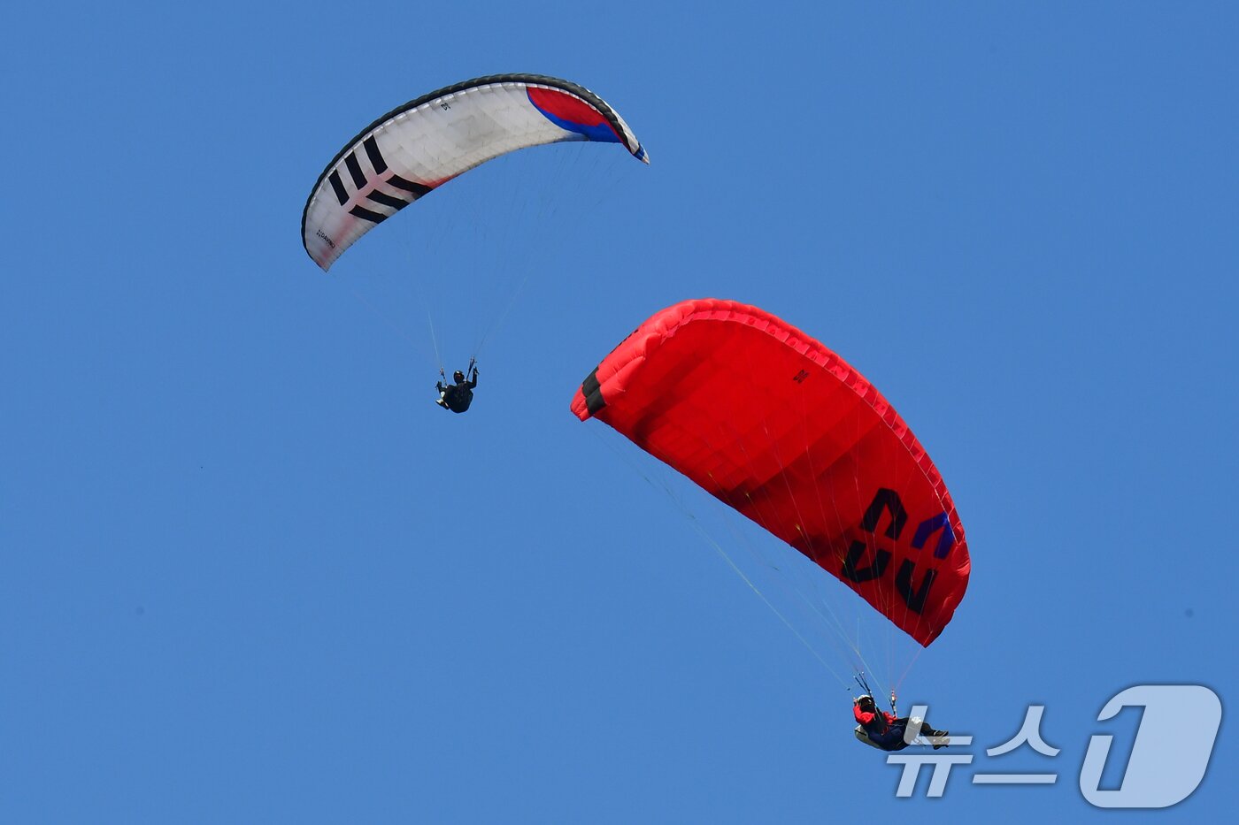 본문 이미지 - 21일 경북 포항시 북구 흥해읍 곤륜산 활공장에서 열린 2026 국가대표 패러글라이딩 선발 리그 정밀착륙 1차전에 출전한 선수들이 바람을 타고 있다. 2026.3.21 ⓒ 뉴스1 최창호 기자
