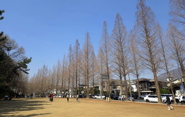 "반소매 입어도 안 추워"…창원 용호동 가로수길 '북적'
